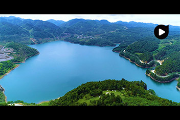 林業(yè)視頻制作、宣傳片拍攝、宣傳片制作