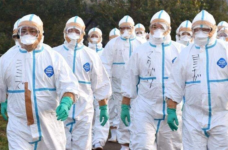 畫冊設計 畫冊設計